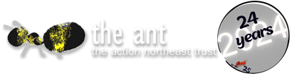 The Ant