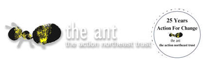 The Ant